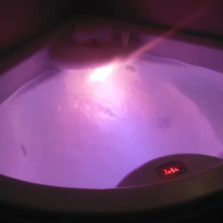 酒店 Western Le Cheval Blanc -vue Sur Le Port-plein Centre