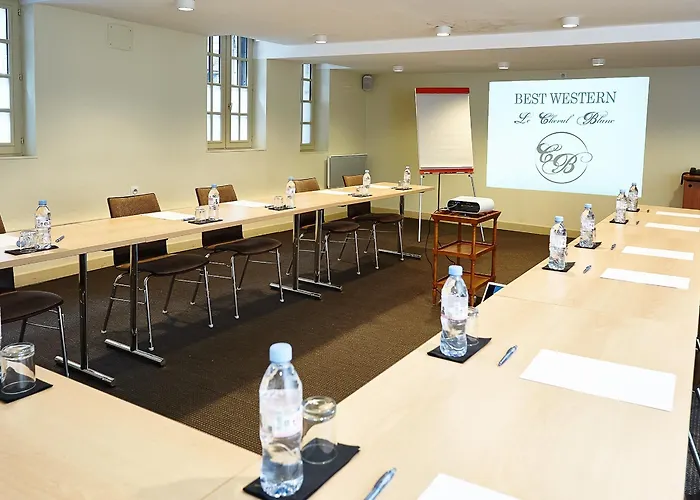 Hotel Western Le Cheval Blanc -vue Sur Le Port-plein Centre 3*